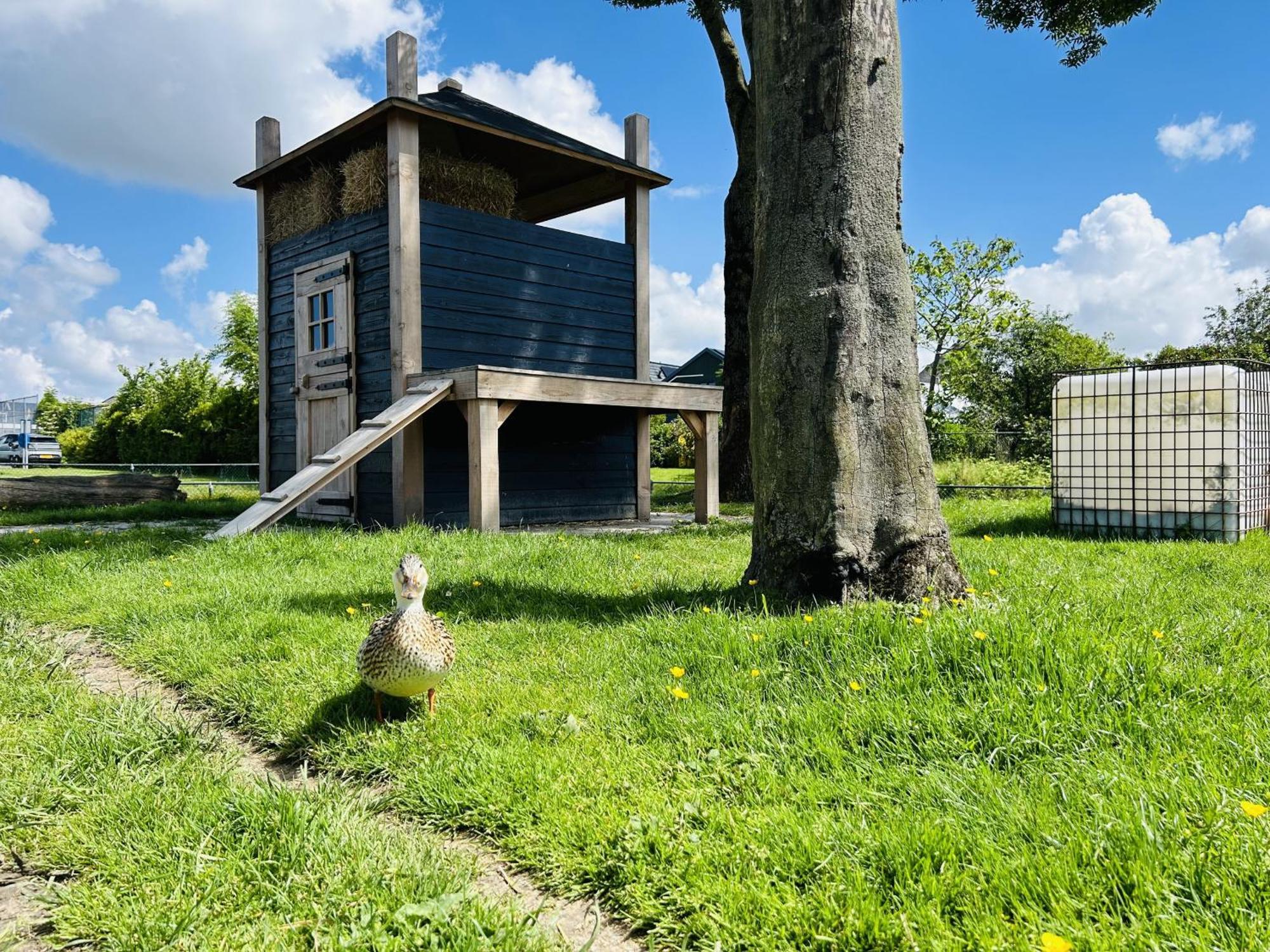 Bungalowpark De Horn - Floresta 215 Dirkshorn 외부 사진